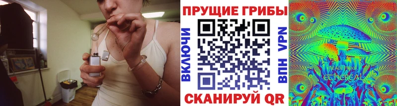Галлюциногенные грибы мицелий  где купить наркотик  Юрьевец 